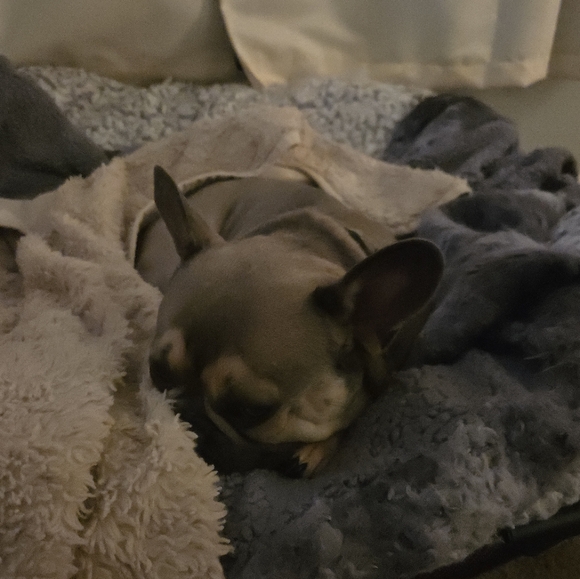 Meet your Posher, Julie - Picture 7 of 7